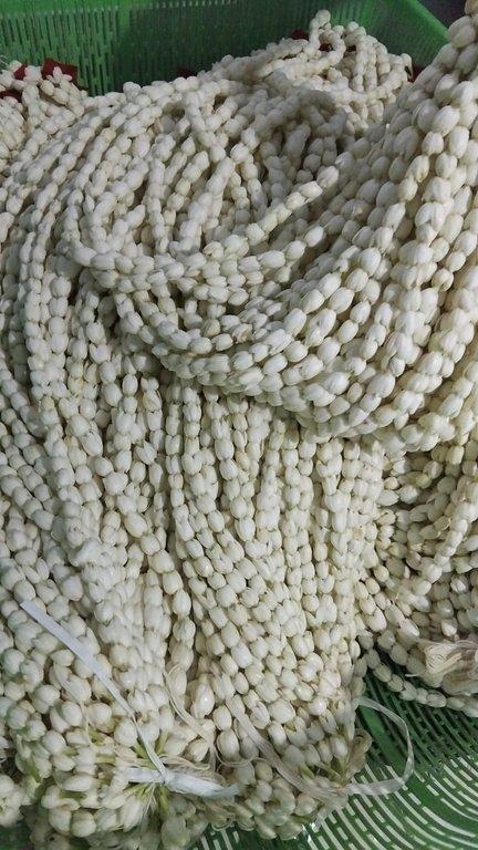 Jasmine Flowers Box Weight 5 Kg Total Quantity 30 Boxes Product Origin Indonesia Shipping Method Air Freight Transit Time Estimated Shipping Time / Transit